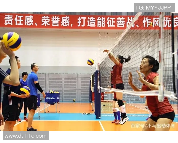 杭州排球队配合变革引发热议助力球队新征程